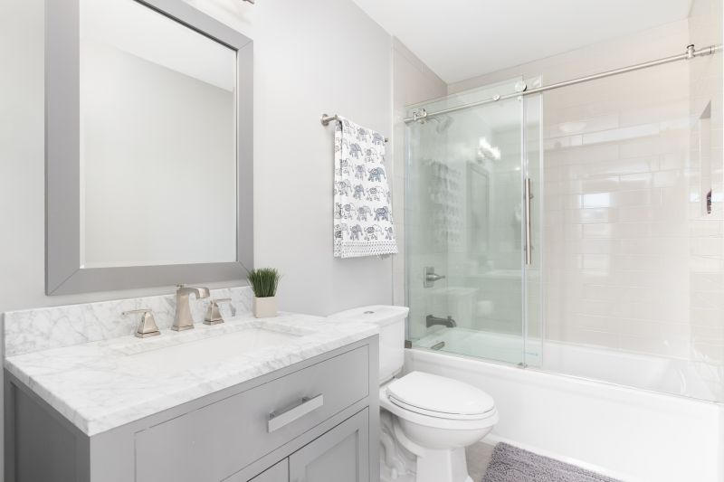 Top Tub To Shower Conversion Companies in Aurora, CO