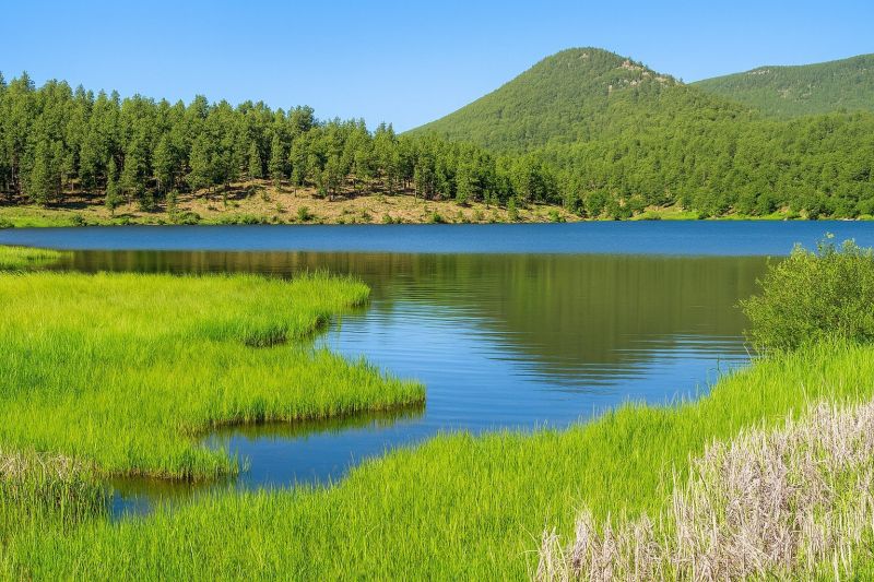 Best Tub To Shower Conversion pros in Evergreen, CO